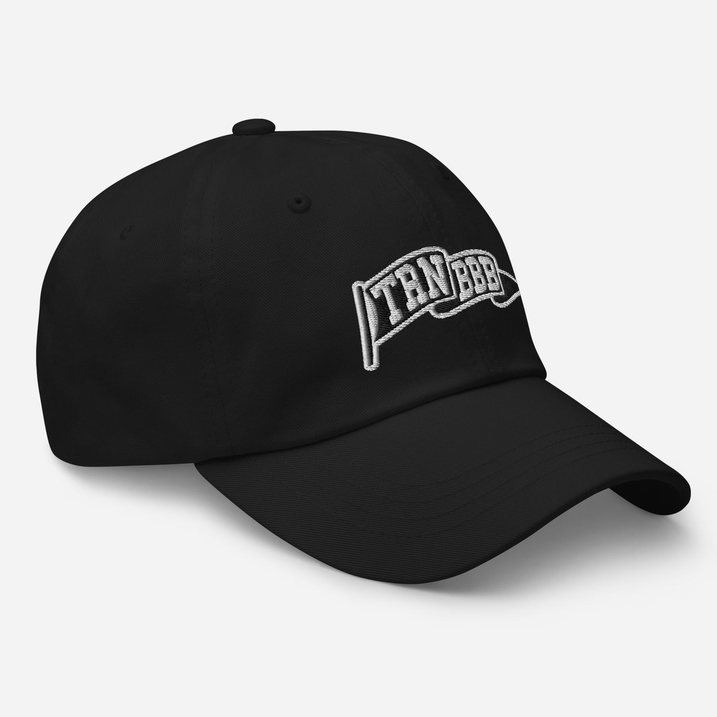 TRNBBB pennant Dad hat